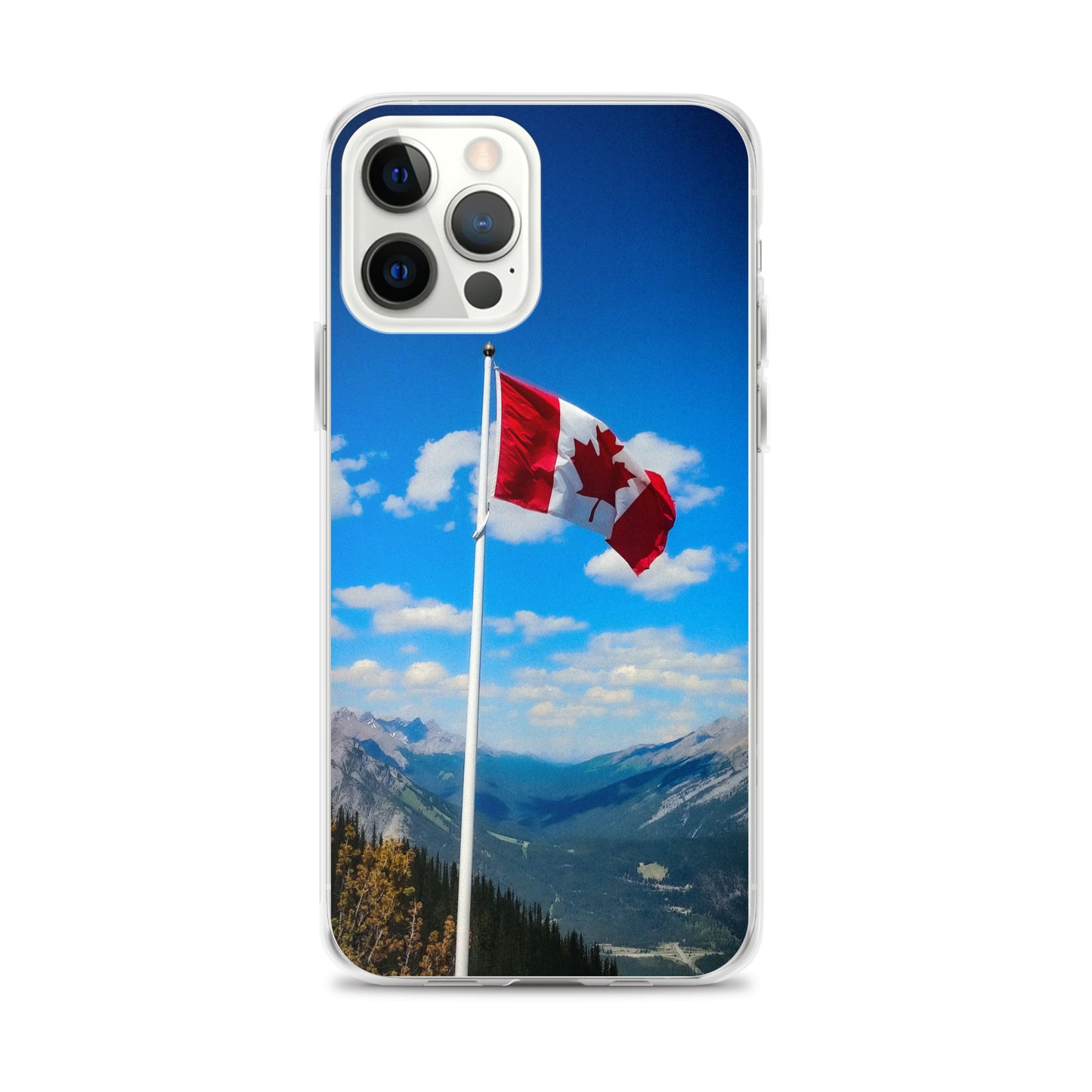 Canadian flag phone case