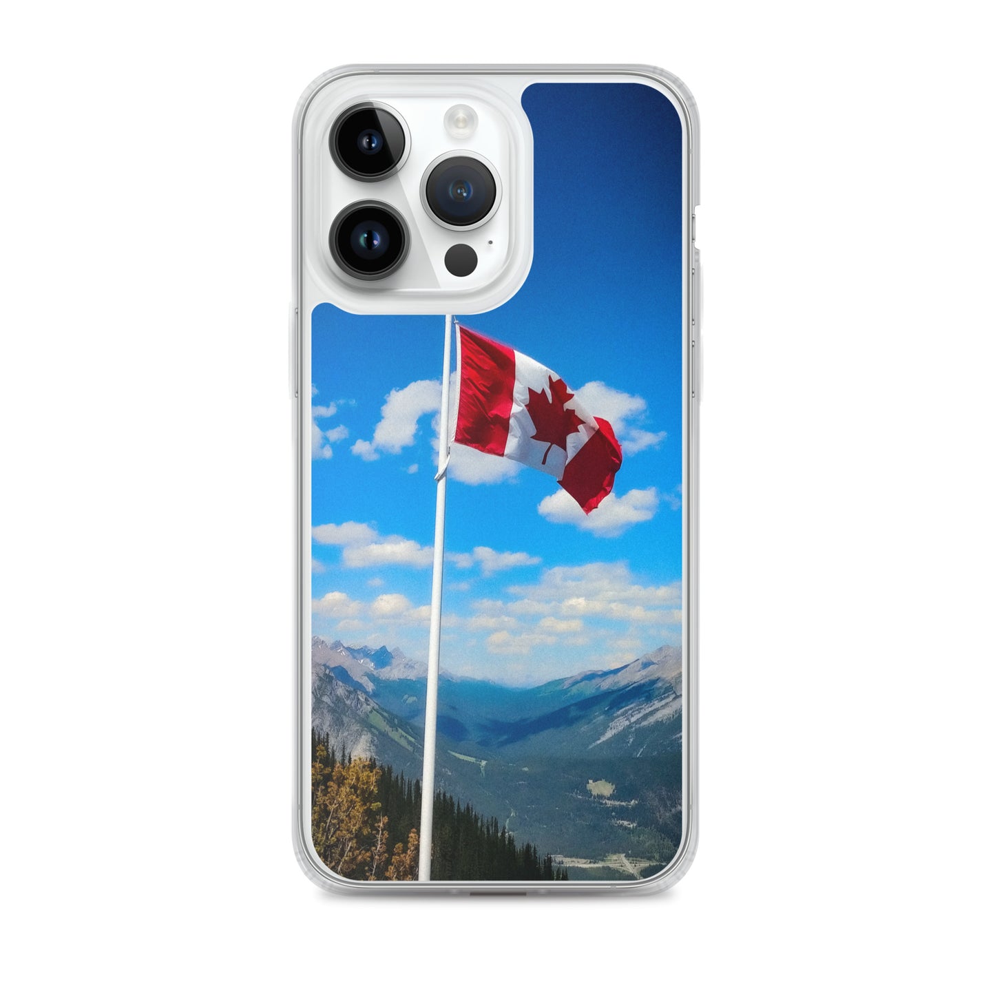 Canadian flag phone case