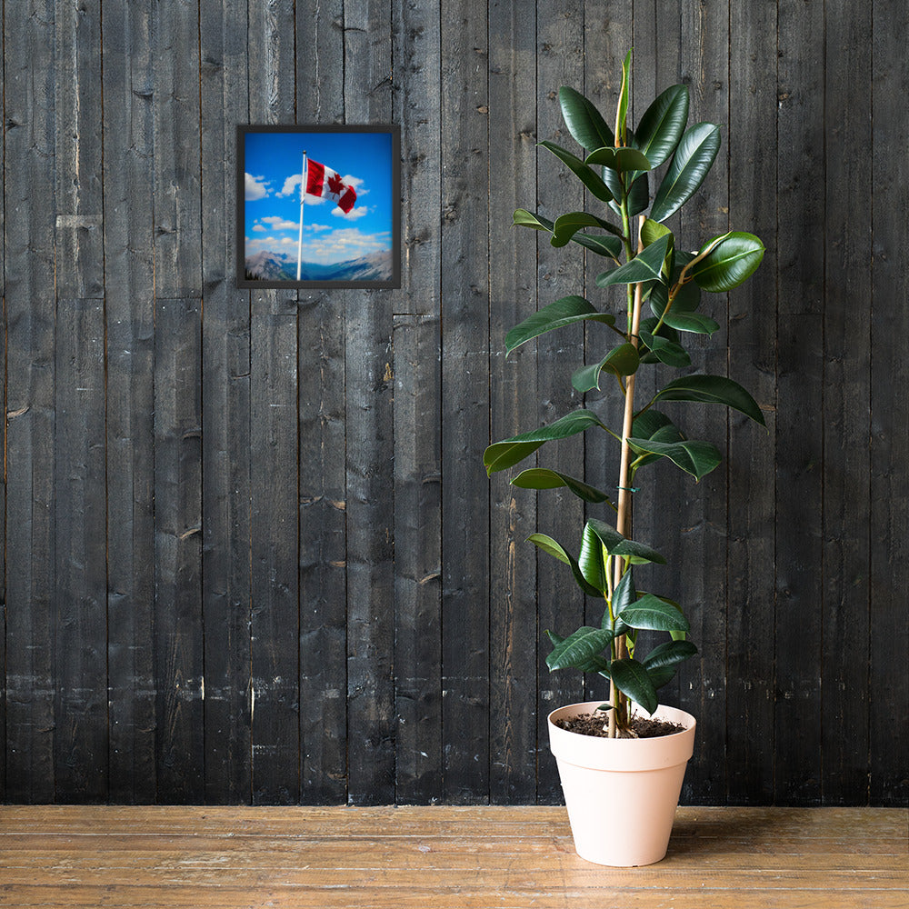 Framed Canadian flag poster