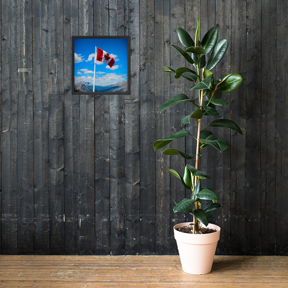 Framed Canadian flag poster