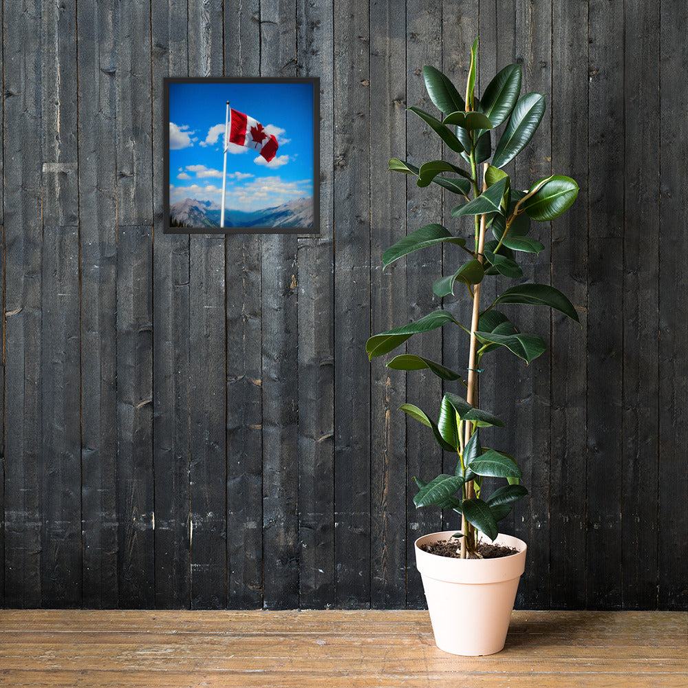 Framed Canadian flag poster