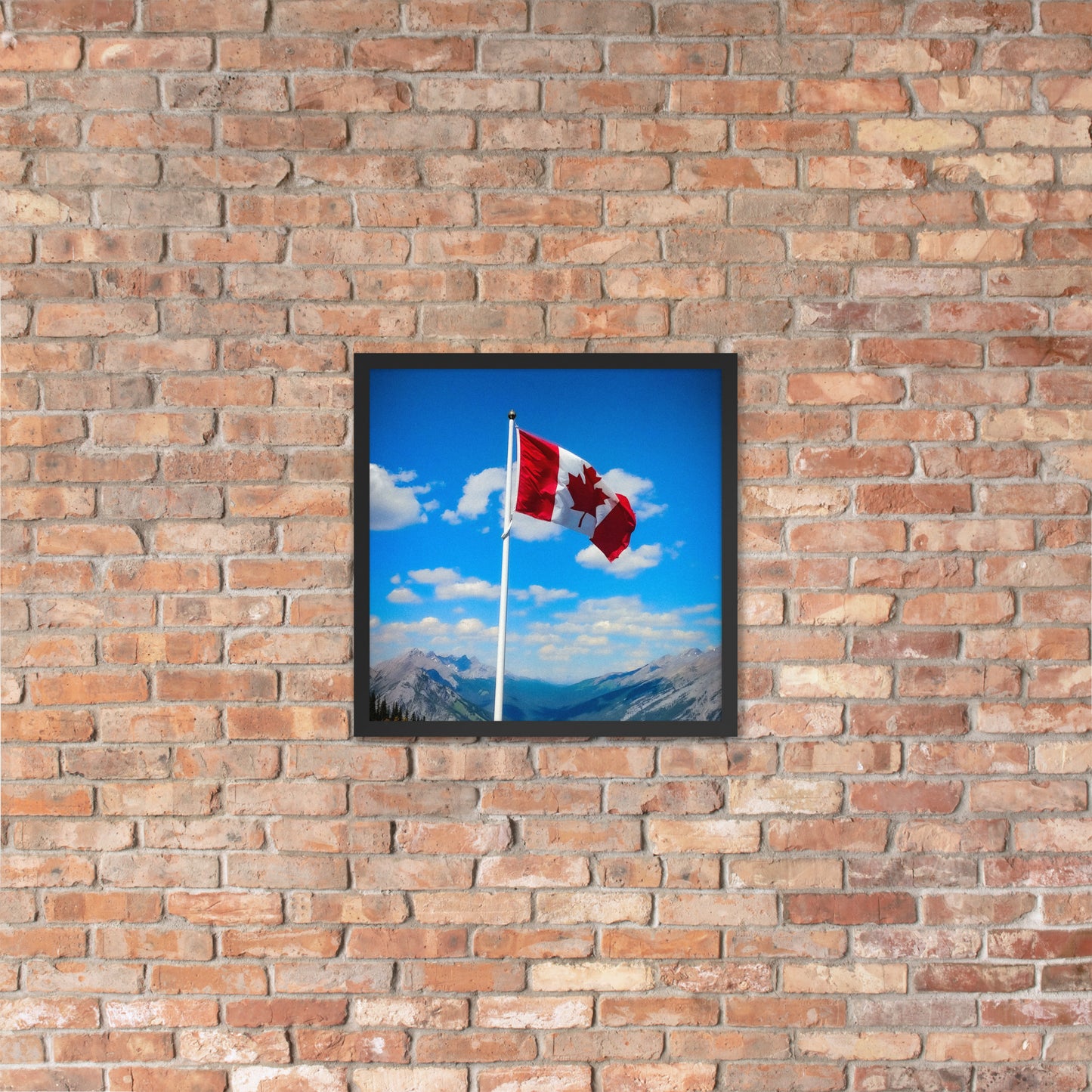 Framed Canadian flag poster