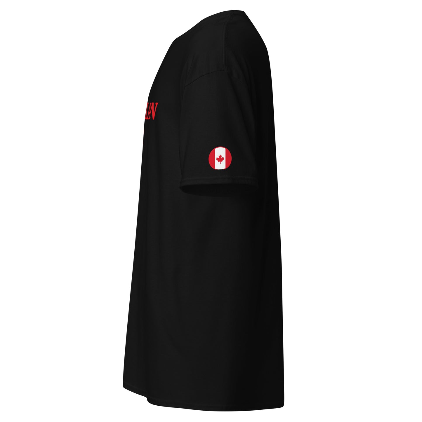 Canadian eh? Men's classic tee