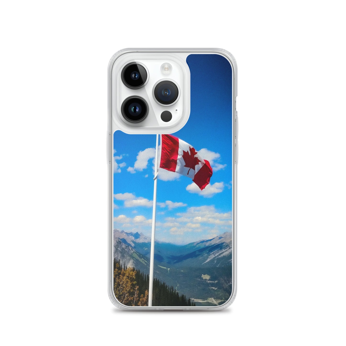 Canadian flag phone case